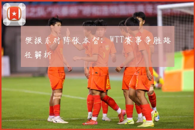 樊振东对阵张本智：WTT赛事争胜路径解析